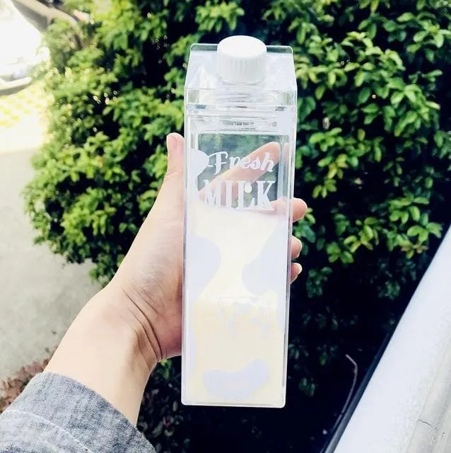 500ml Cute Animal Boba Flask Bottles