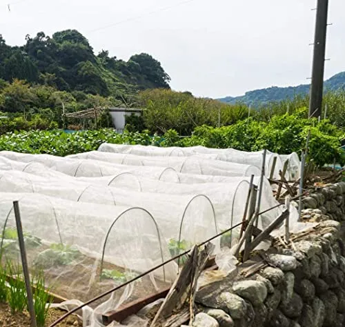 Anaya Mosquito Net 10'x30' Mosquito Insect Bug Screen Netting, Garden Netting Barrier Protect Vegetables Fruits Flowers Plants, White (Model Number: NEW-DIV-063)