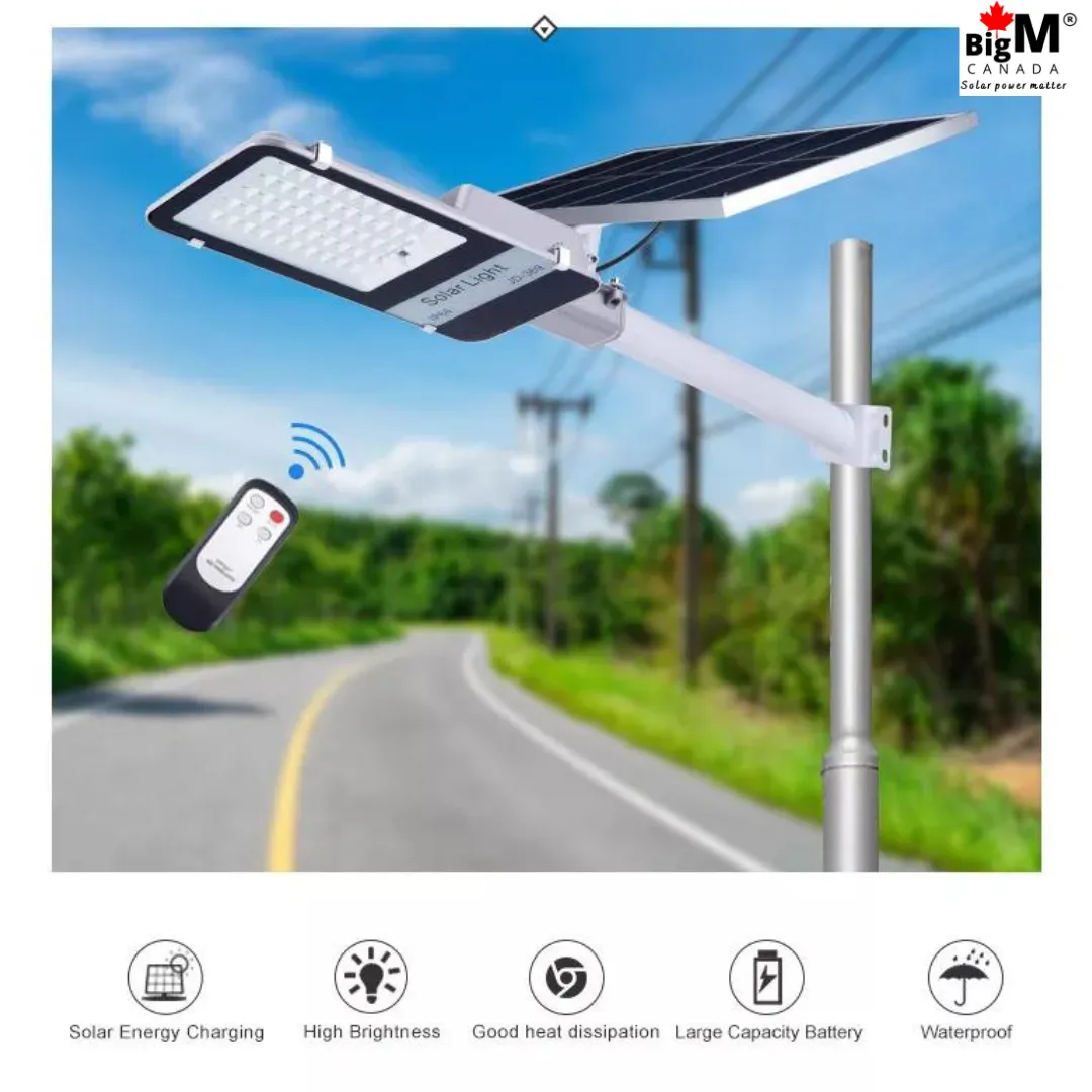 BigM 300W Solar Street Light, Adjustable Solar Panel,  Aluminum Body