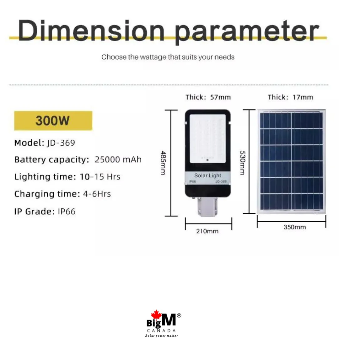 BigM 300W Solar Street Light, Adjustable Solar Panel,  Aluminum Body