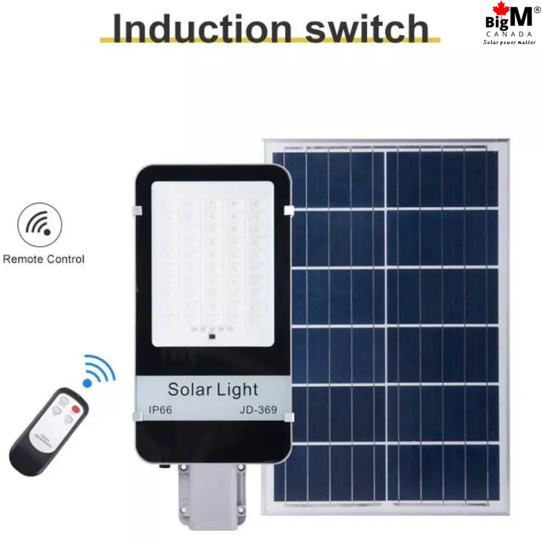 BigM 300W Solar Street Light, Adjustable Solar Panel,  Aluminum Body