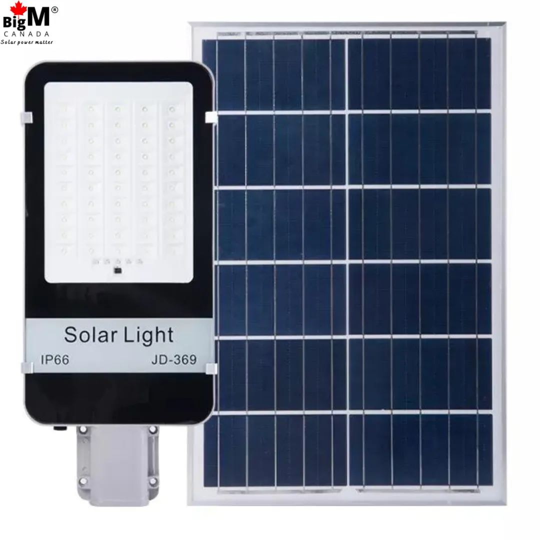 BigM 300W Solar Street Light, Adjustable Solar Panel,  Aluminum Body