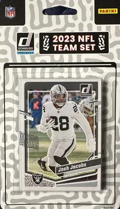 NFL Las Vegas Raiders Team Card Set 2023