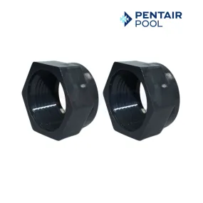 Pentair Mender Nut For Legend and Platinum Cleaners | 2 Pack | Gray | LLD15PM